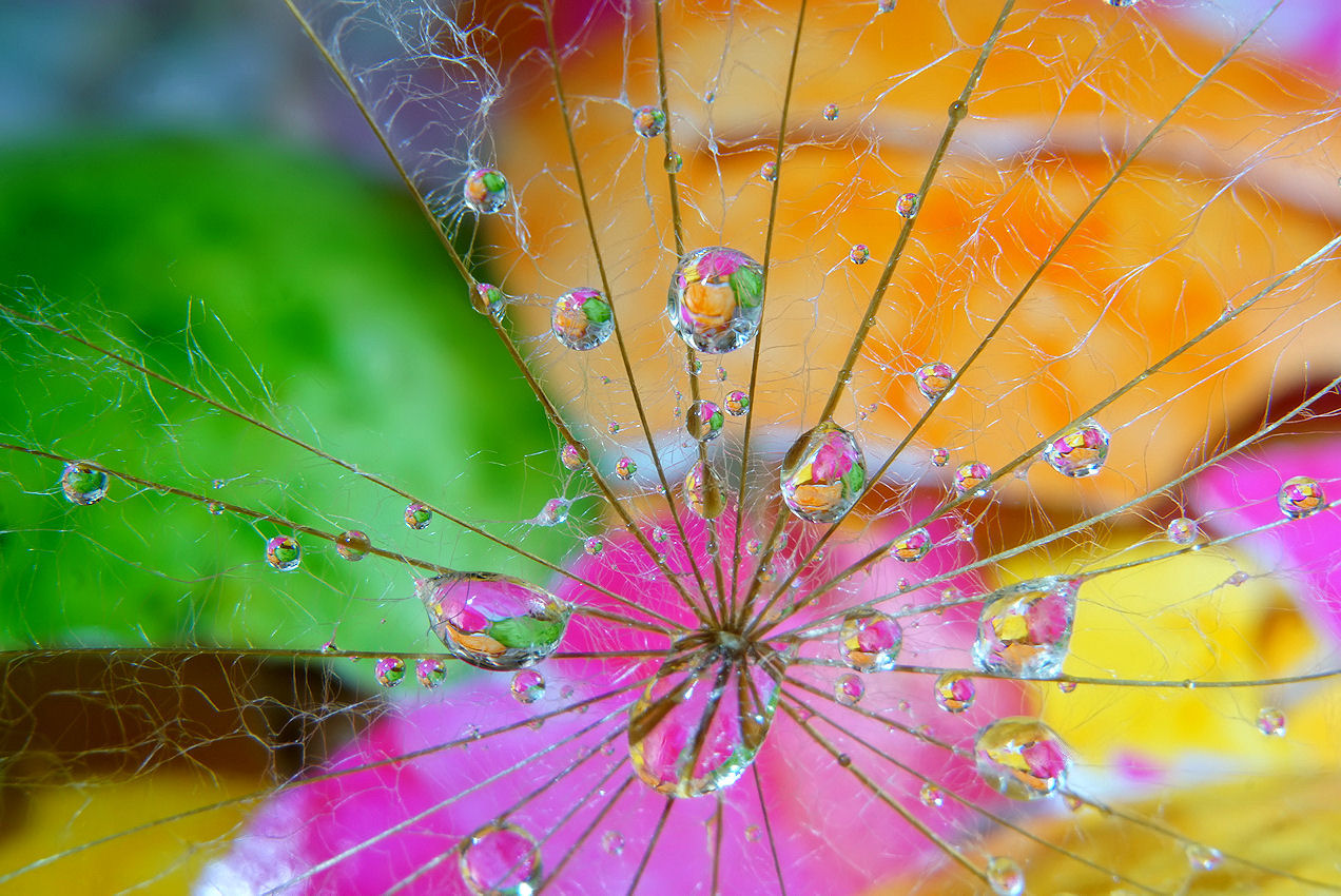 Buntes Farbspiel an Ostern