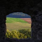 buntes Fenster