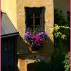 Buntes Fenster