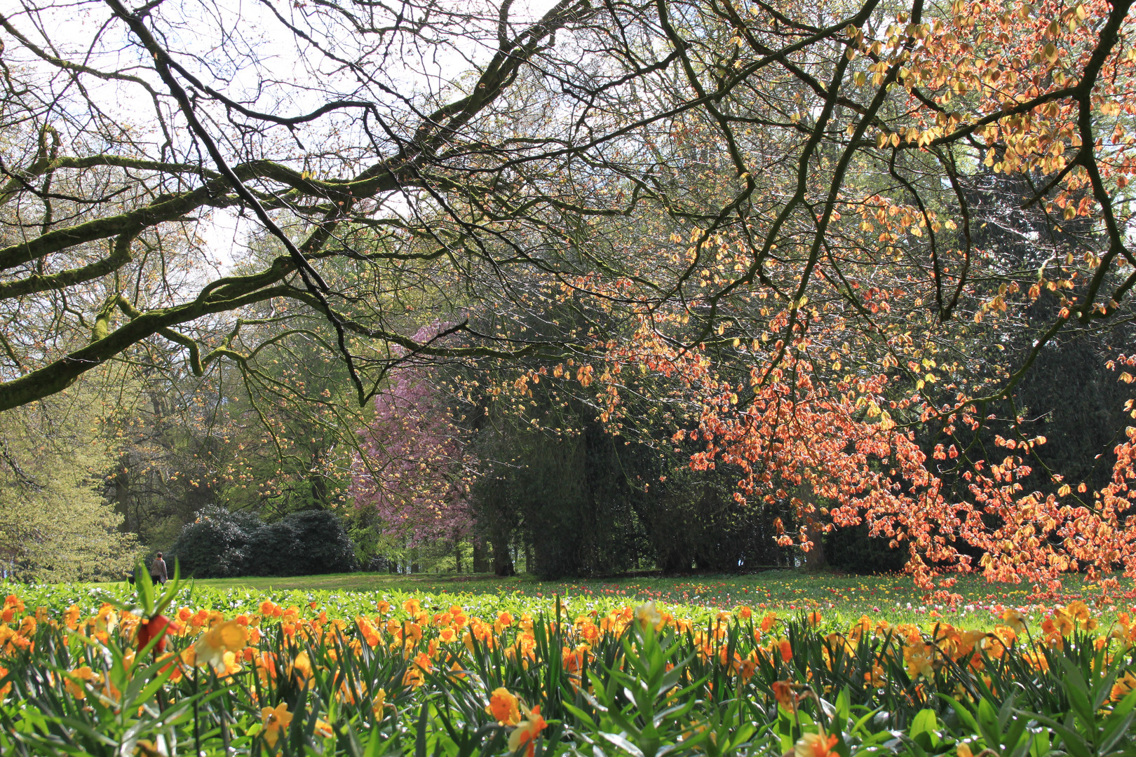 Buntes Frühlingserwachen Foto & Bild jahreszeiten, frühling, natur