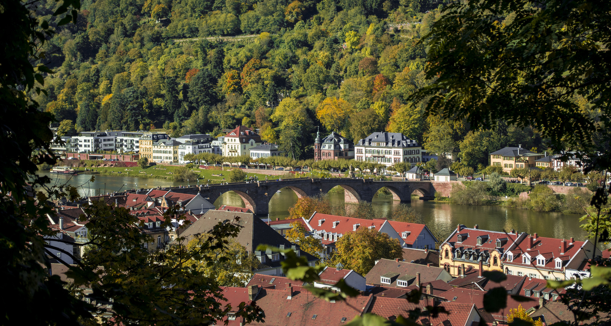 Buntes Heidelberg - Die Alte Brücke 