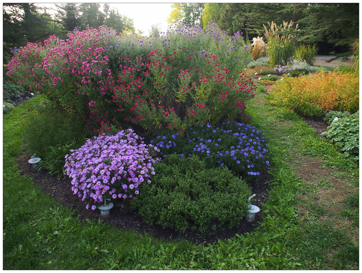 Buntes Herbstblumenbeet