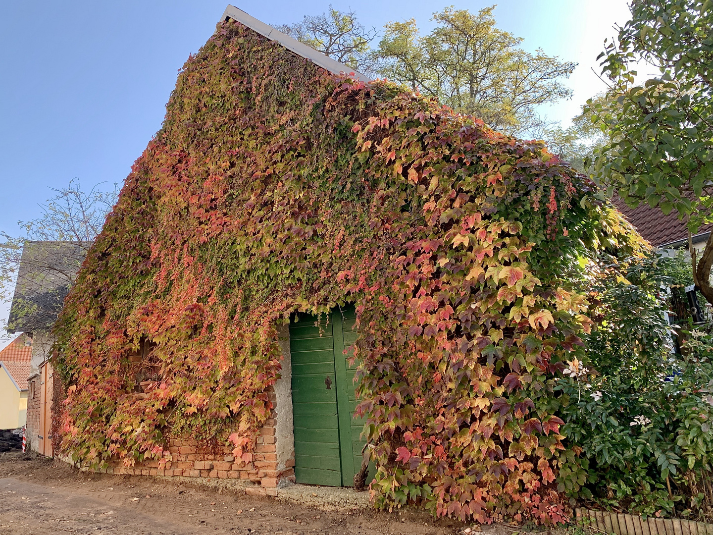 Buntes Herbstlaub