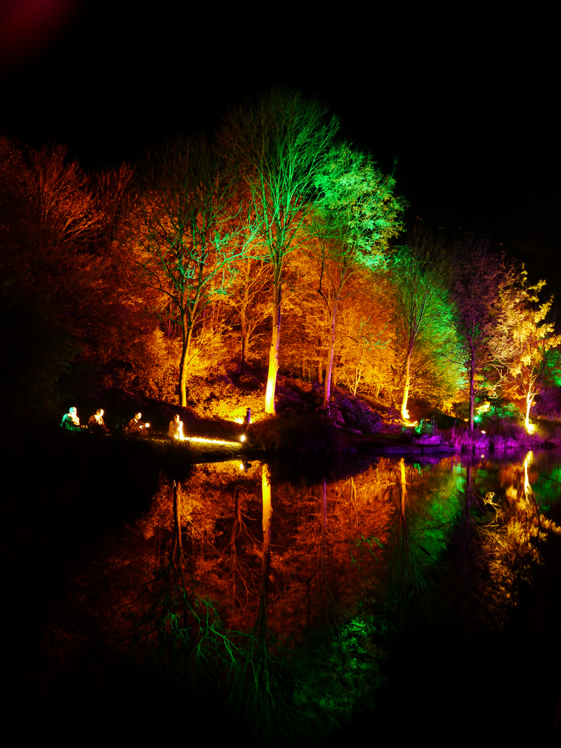 Buntes Herbstleuchten