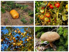 Buntes Herbstpotpourri