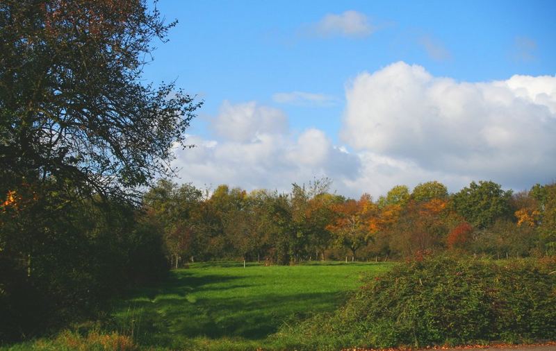 Buntes Herbstwetter