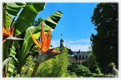 Buntes hinterm Schloß