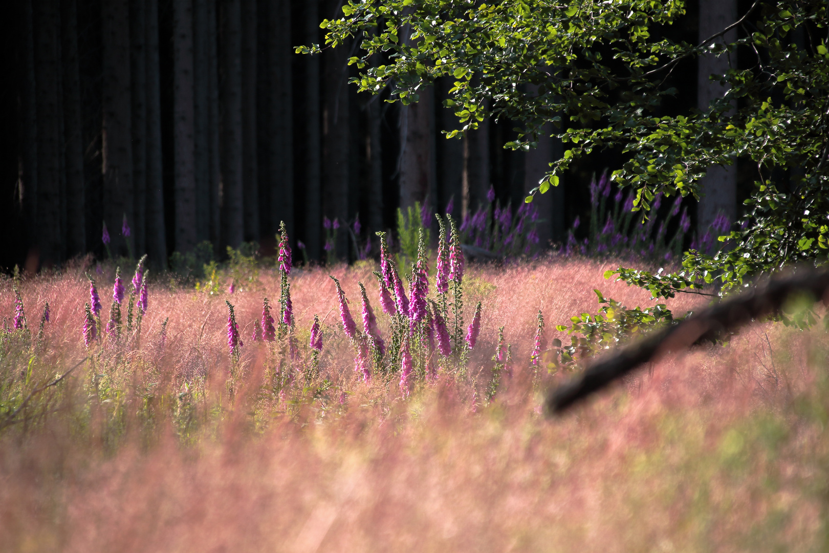 Buntes im Dunkeln