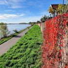 Buntes in (Köln-) Weiss