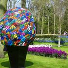 Buntes in Natur und Kunst