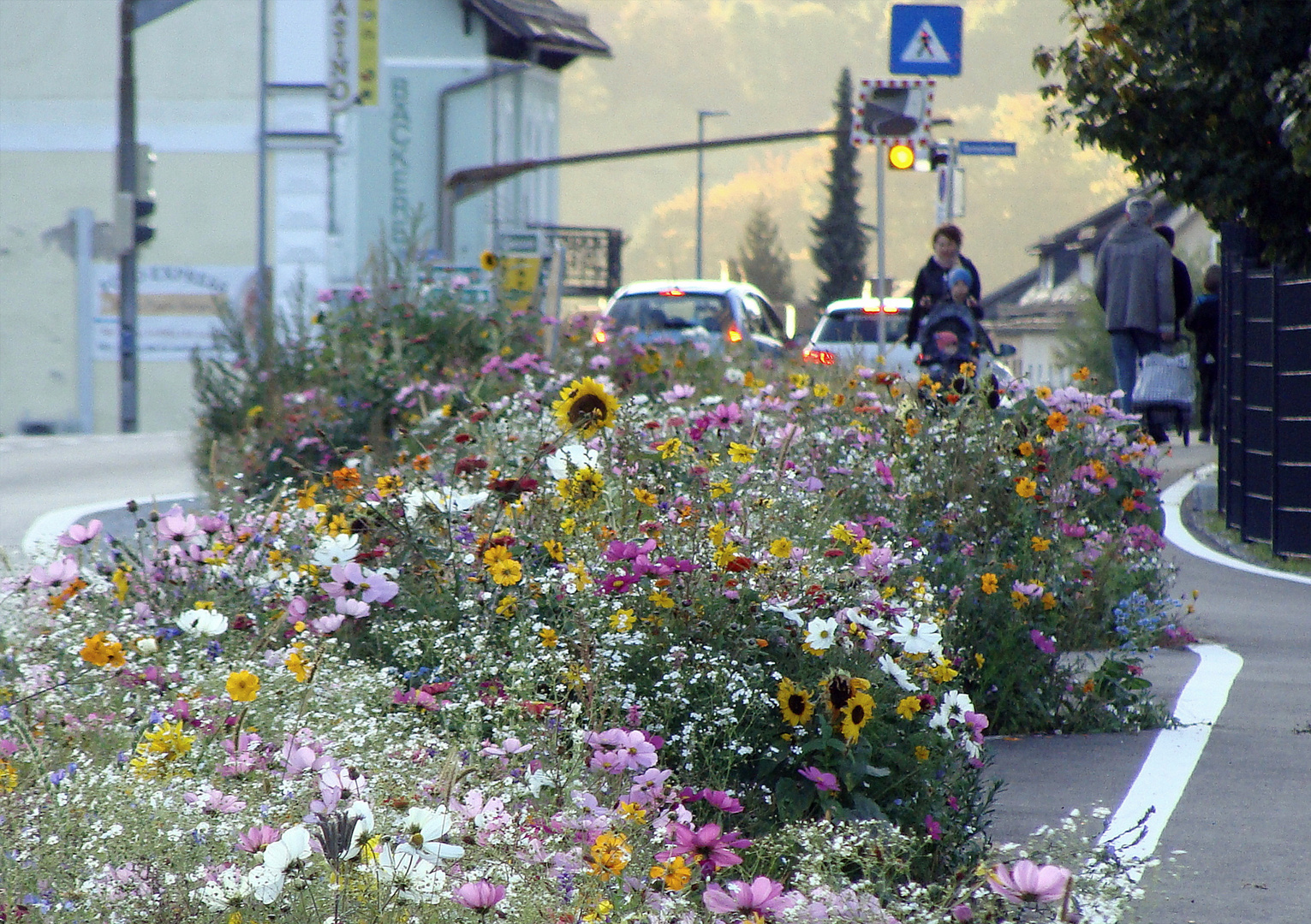 Buntes Insektenfutter