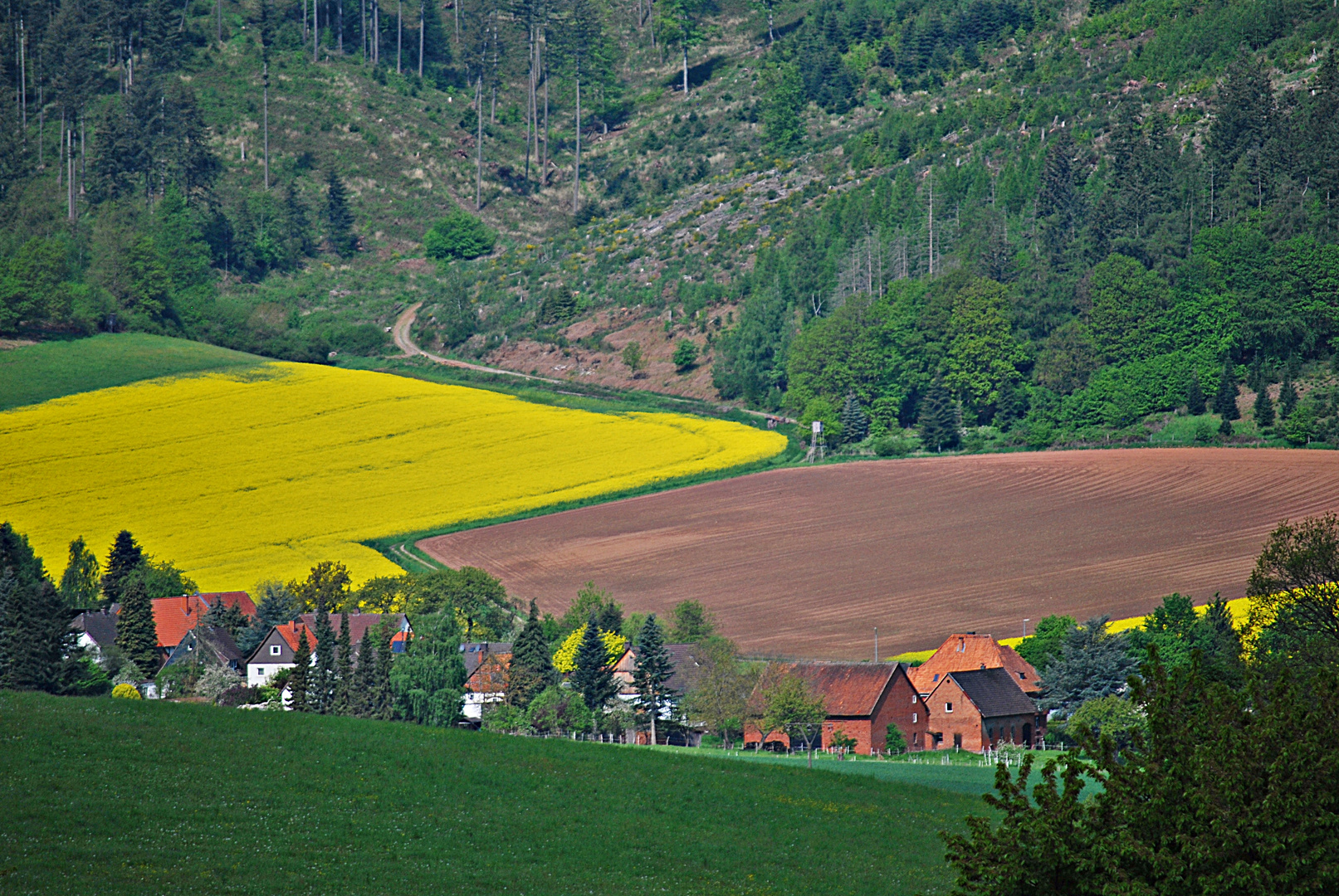 buntes Land...