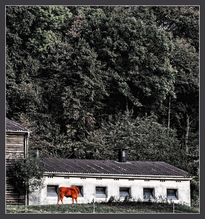 buntes Leben