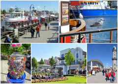 Buntes Leben in Warnemünde