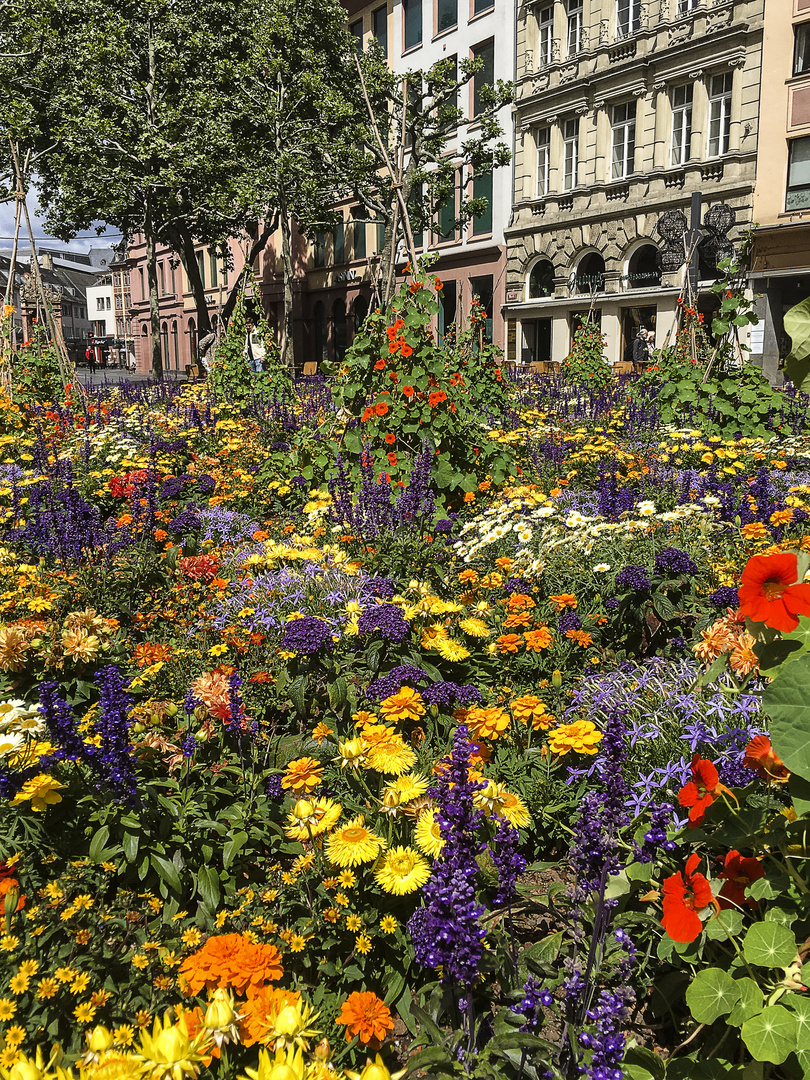 Buntes Mainz - Liebfrauenplatz