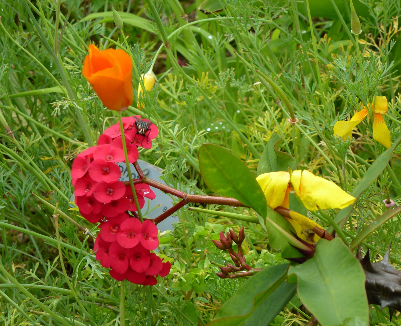 buntes Miteinander