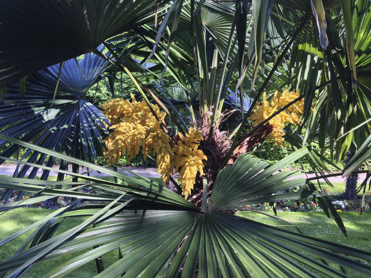 Buntes Naturschauspiel in Blättern