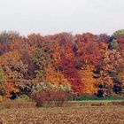 Buntes Panorama