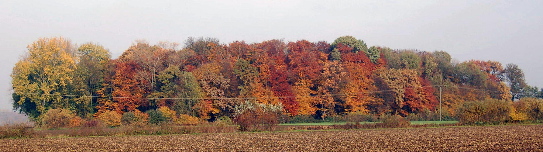 Buntes Panorama