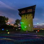 Buntes Schmetterlings-Spektakel am Limesturm in Idstein-Dasbach 