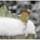 Buntes Schneehuhn