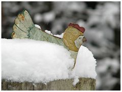 Buntes Schneehuhn