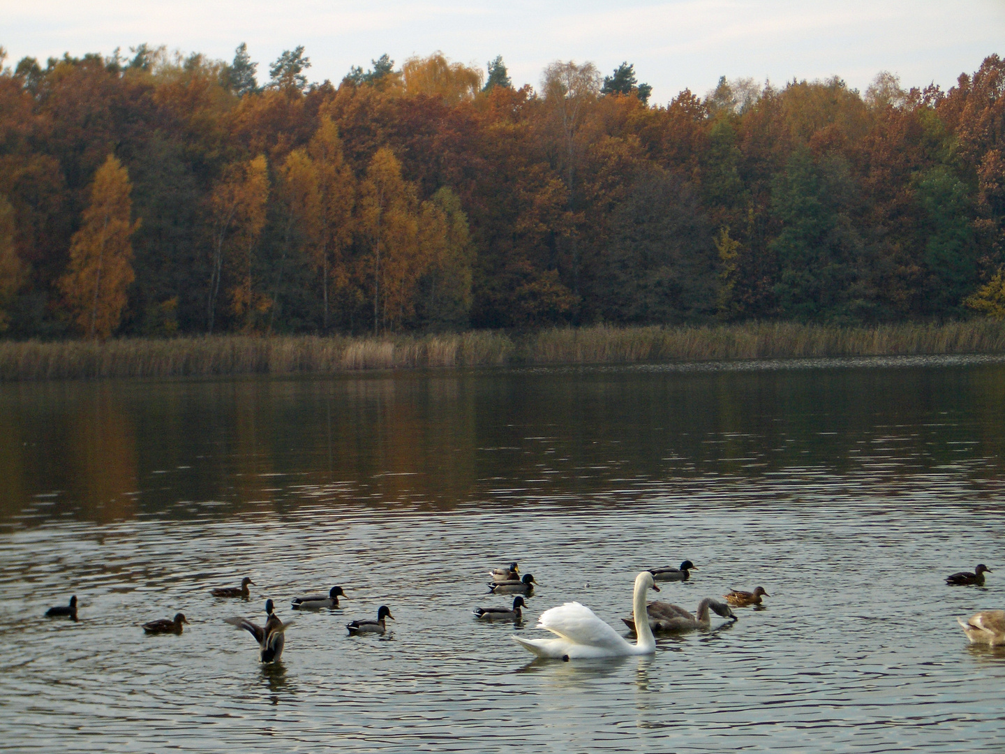 Buntes Treiben