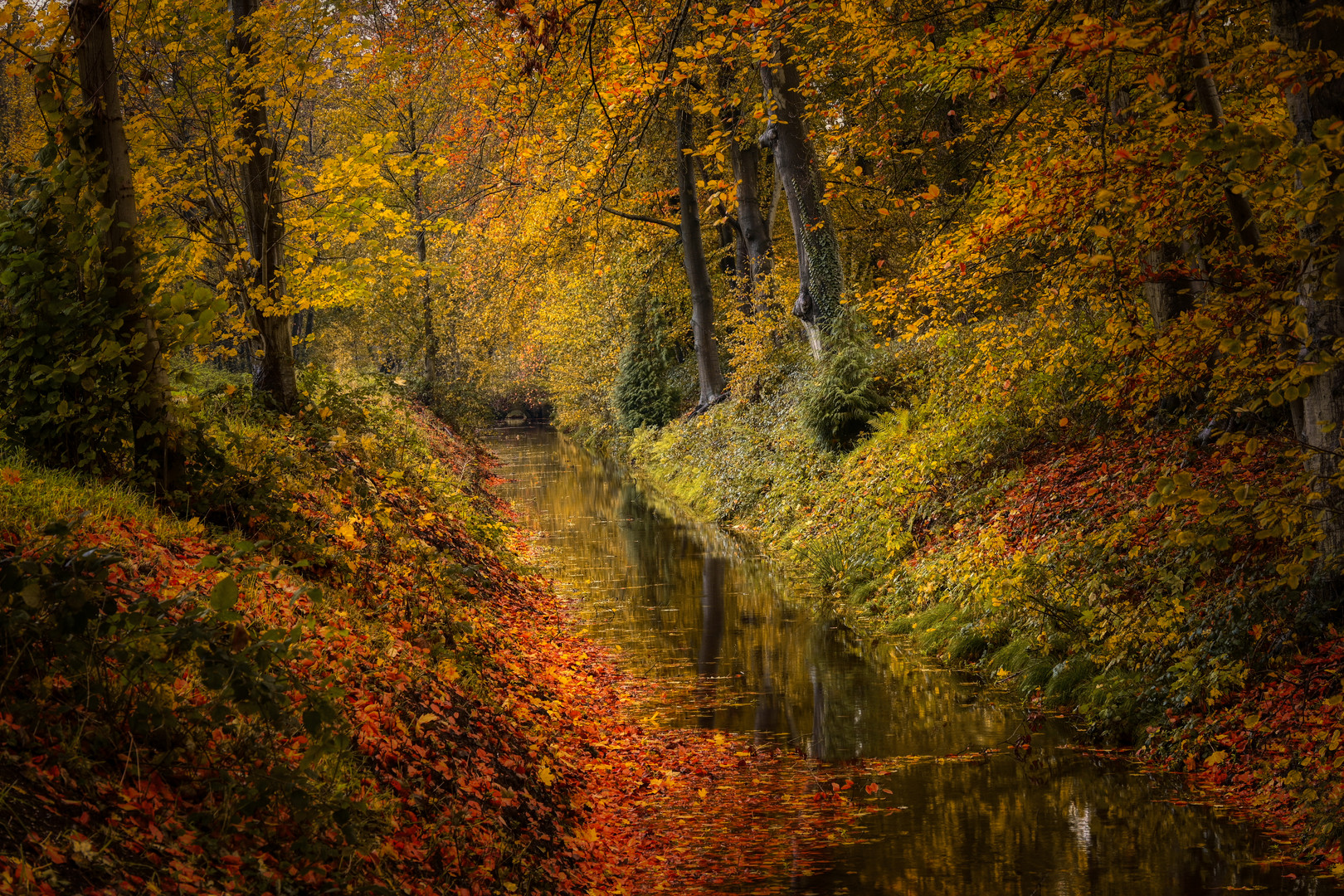 Buntes Treiben