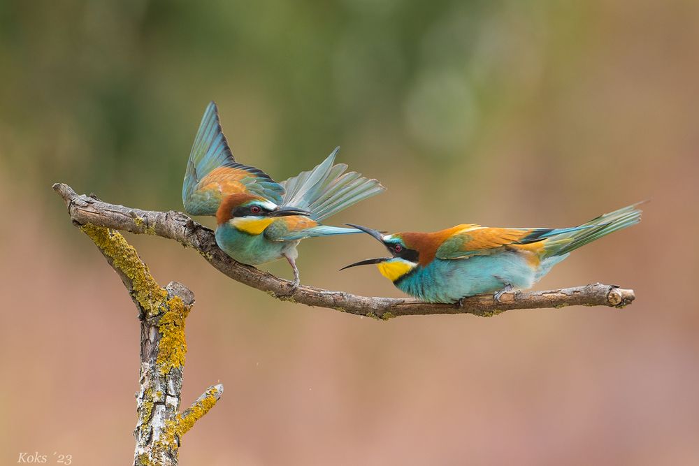 Buntes Treiben