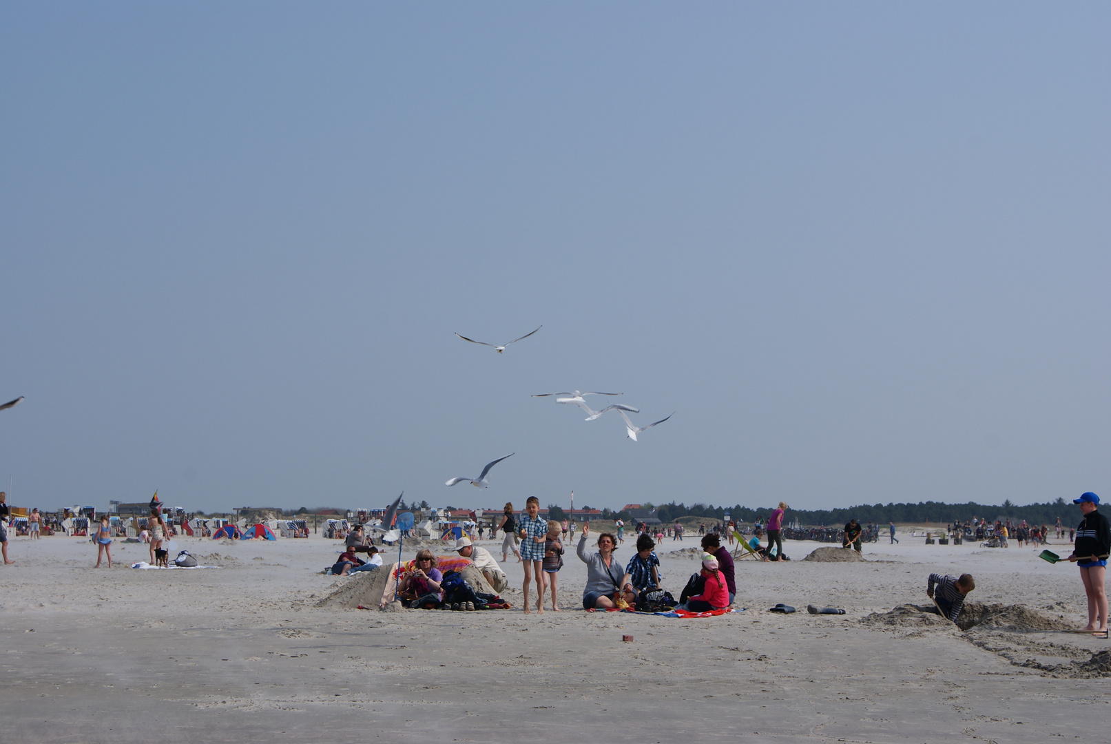 Buntes Treiben an der Nordsee