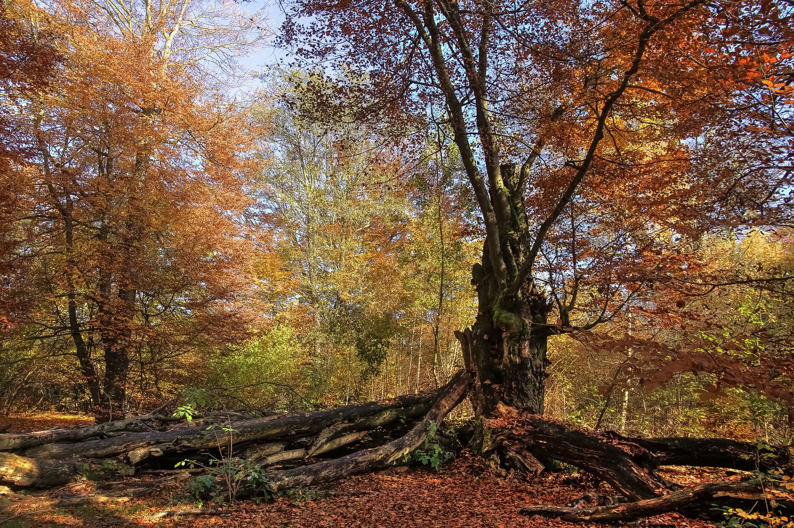 Buntes Treiben