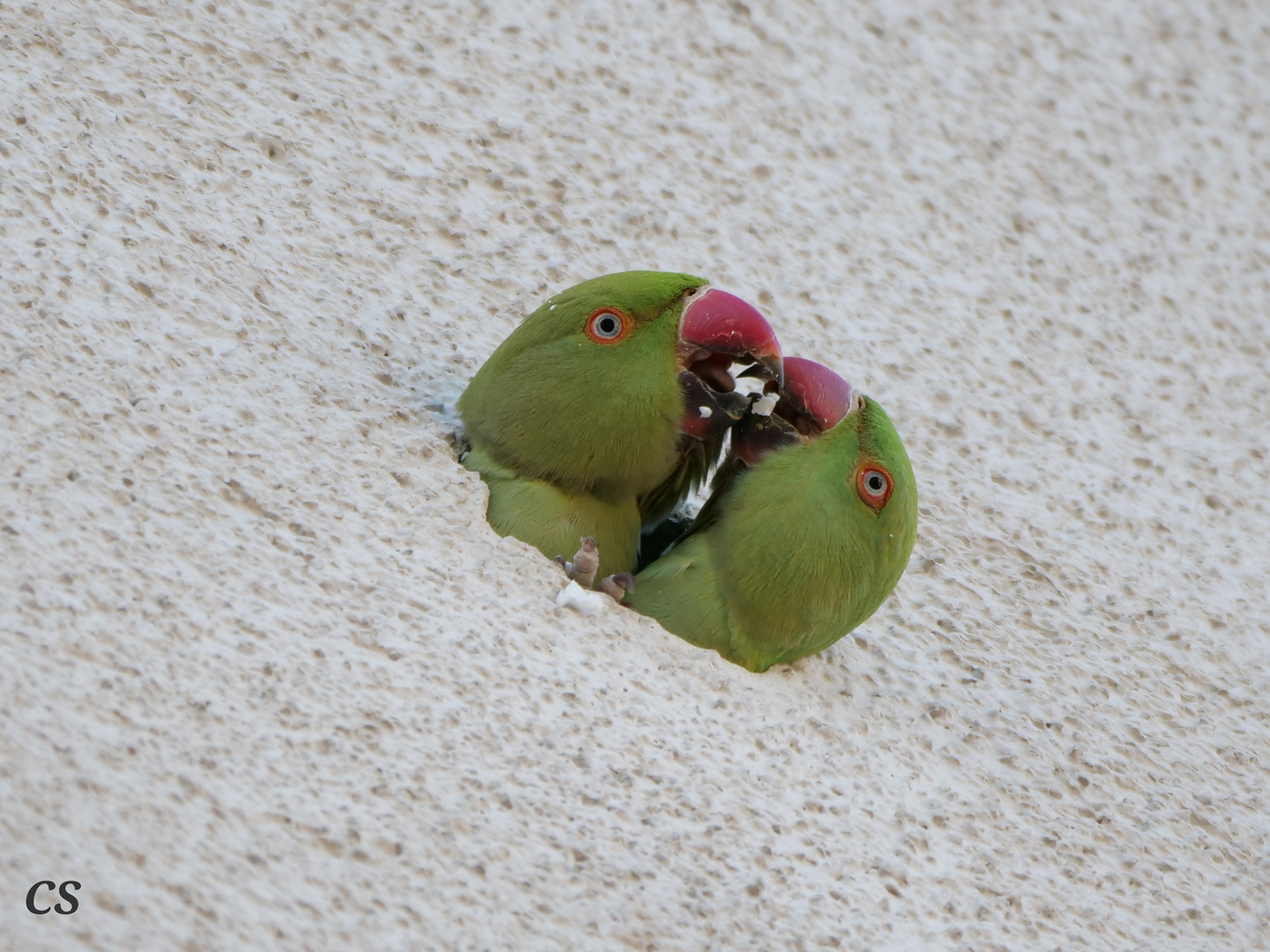 BUNTES TREIBEN!