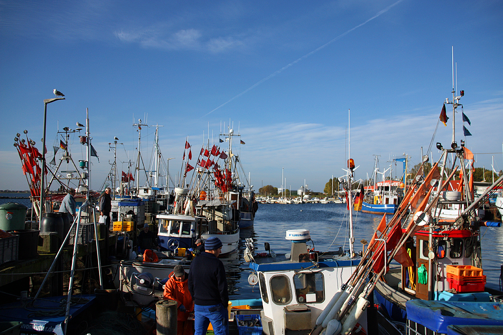 Buntes Treiben im Fischereihafen