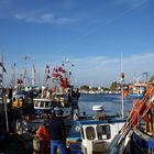 Buntes Treiben im Fischereihafen