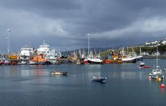 Buntes Treiben im Hafen von Mallaig