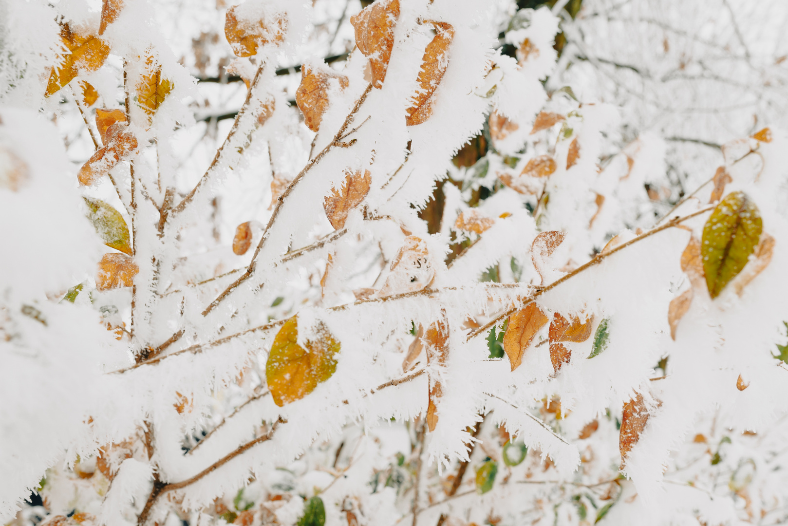 Buntes Treiben im Schnee