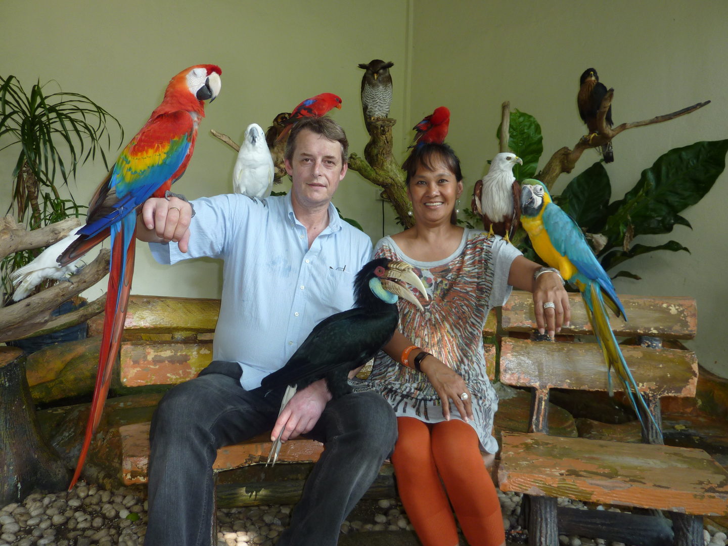 Buntes treiben im Vogelpark