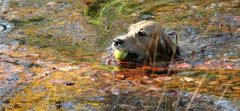 buntes wasser....