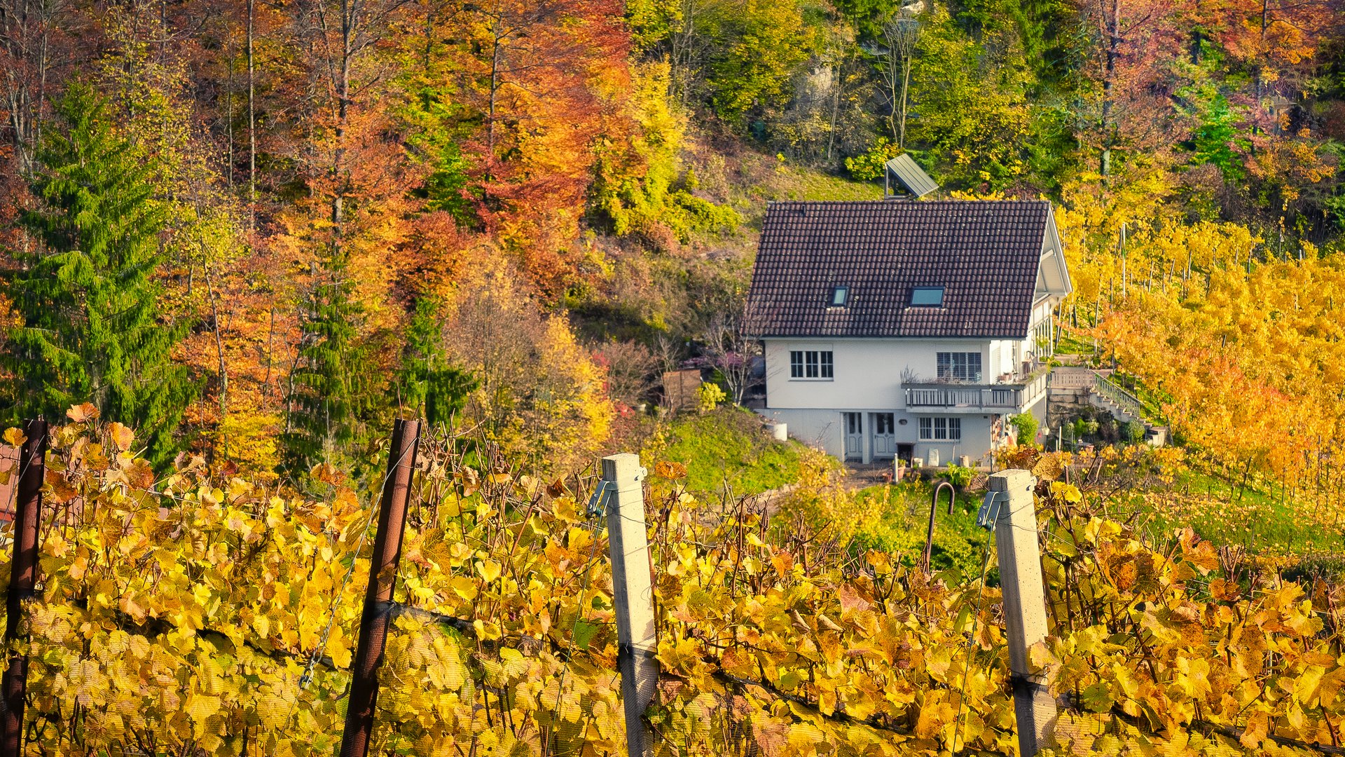 Buntes Wohnen