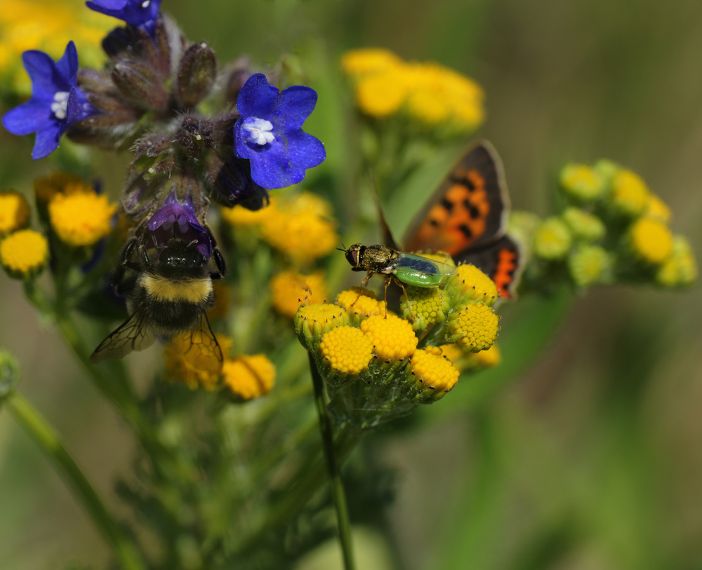 Buntgemischt mit