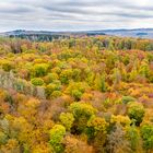 Buntstift Herbstwald