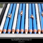 buntstiftschwimmen II