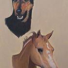 Buntstiftzeichnung Doppelportrait Hund & Pferd / Colored pencil drawing dog & horse