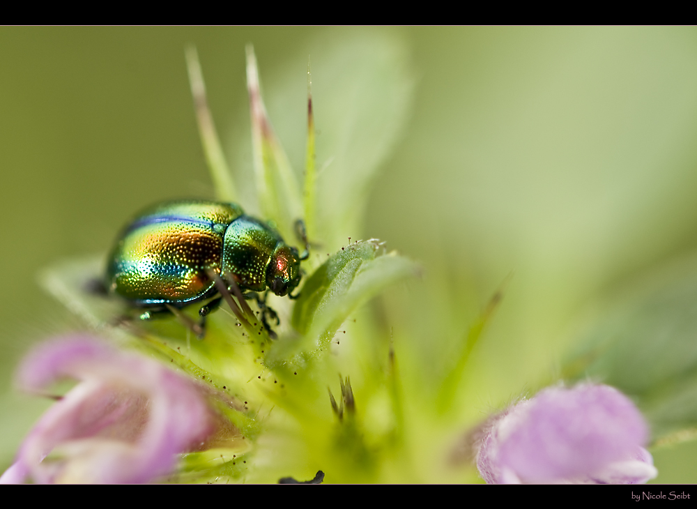 Bunt...und in Farbe