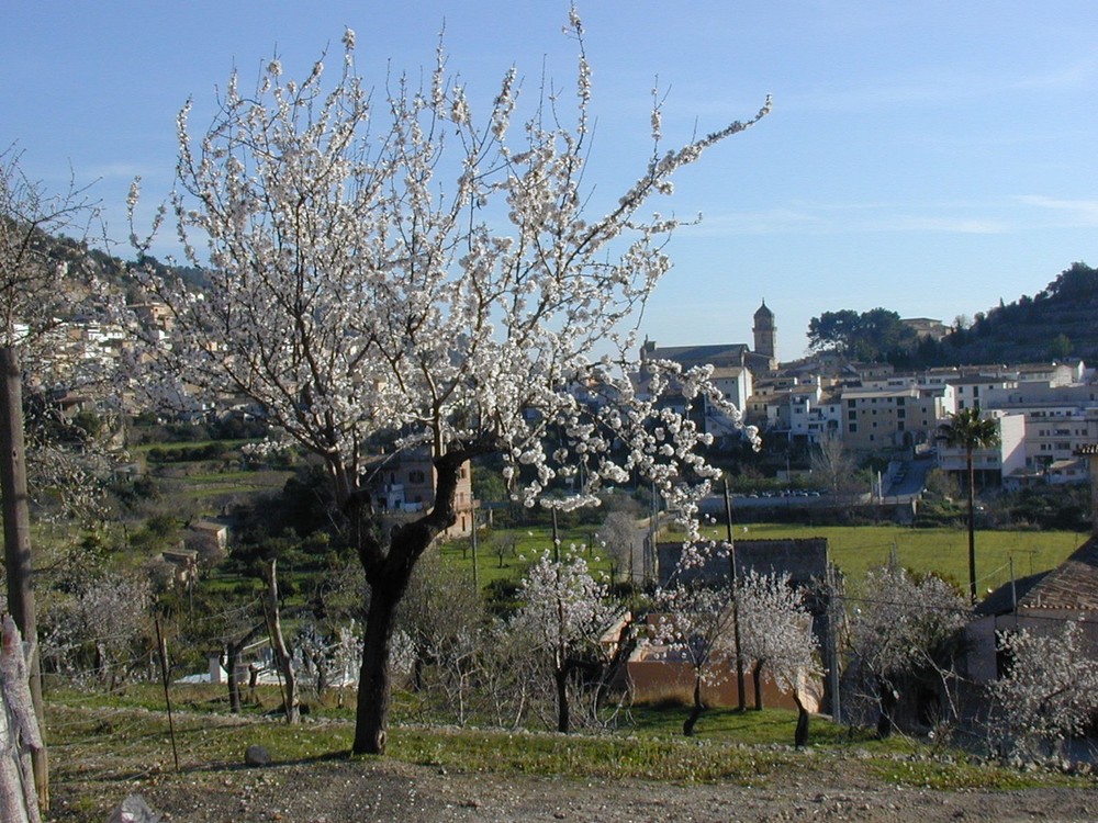 Bunyola-Mallorca