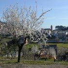 Bunyola-Mallorca