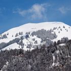 buochserhorn