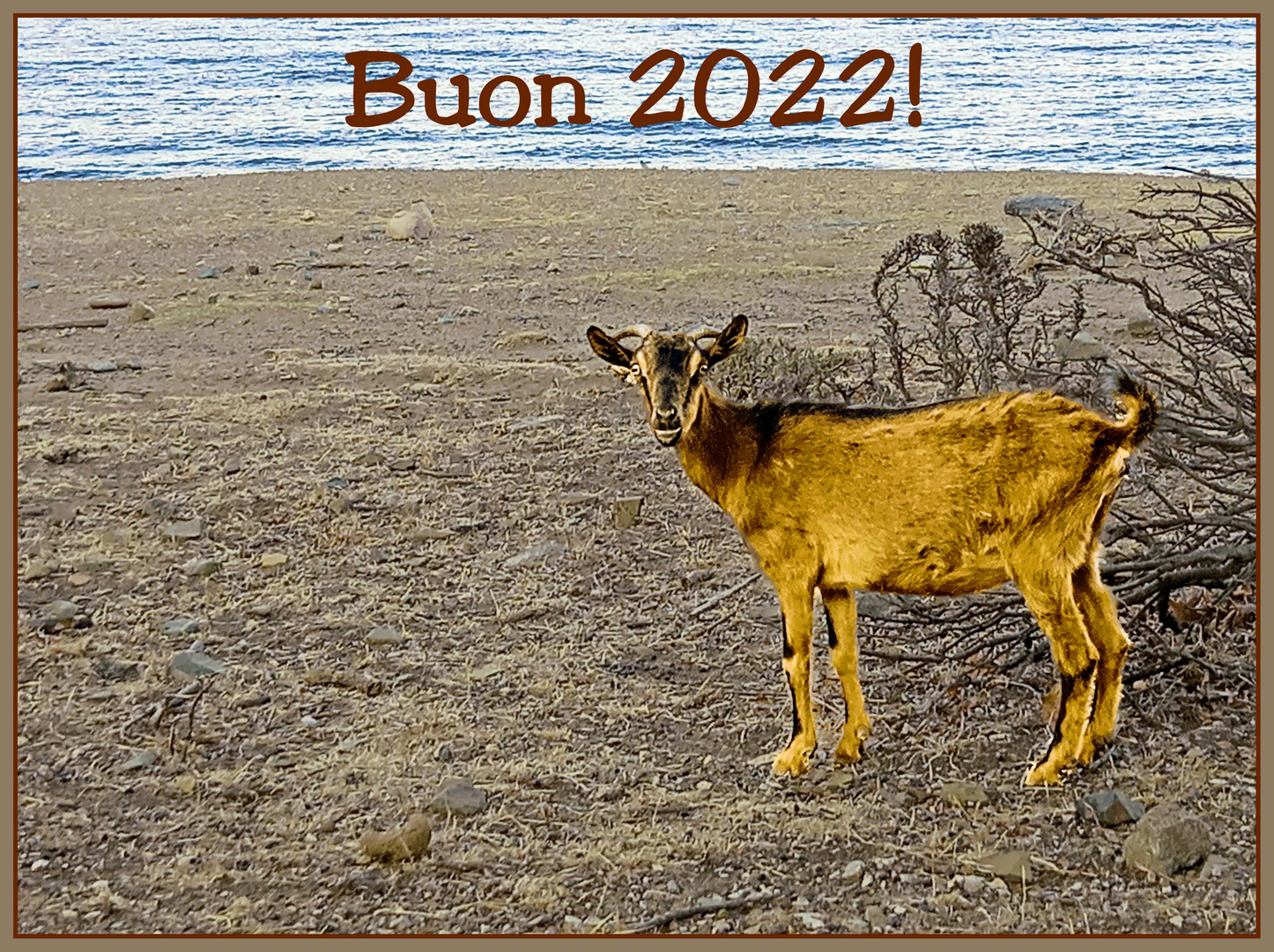 Buon 2022