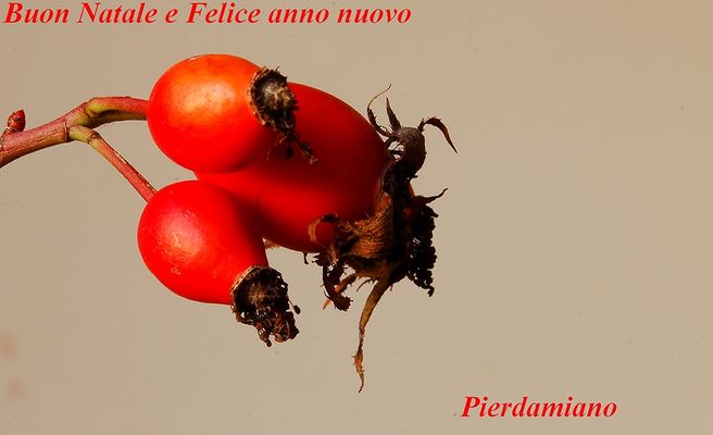 BUON NATALE A TUTTI