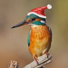 Buon Natale a tutti gli amici di Fotocommunity